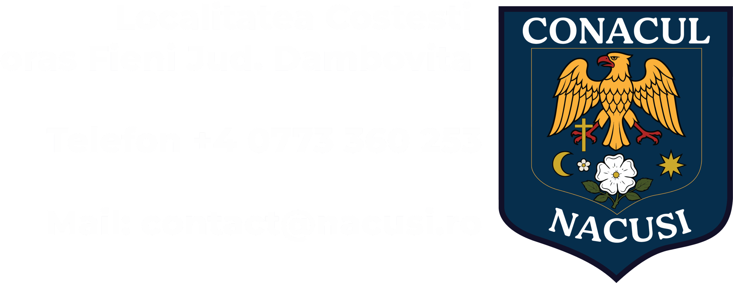 Asset 51